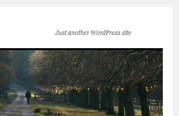 Default WordPress Tagline