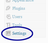 WordPress Settings Option