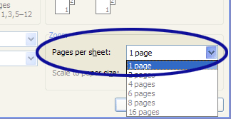 Word 2003 screenshot showing the Pages Per Sheet option